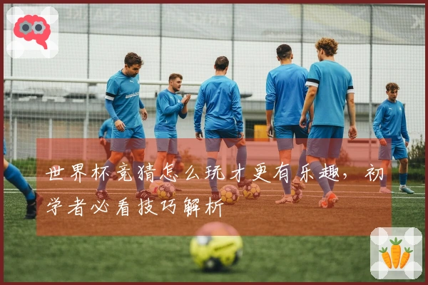 世界杯竞猜怎么玩才更有乐趣,初学者必看技巧解析