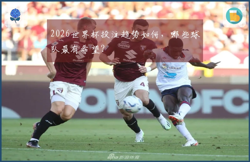 2026世界杯投注趋势如何，哪些球队最有希望？