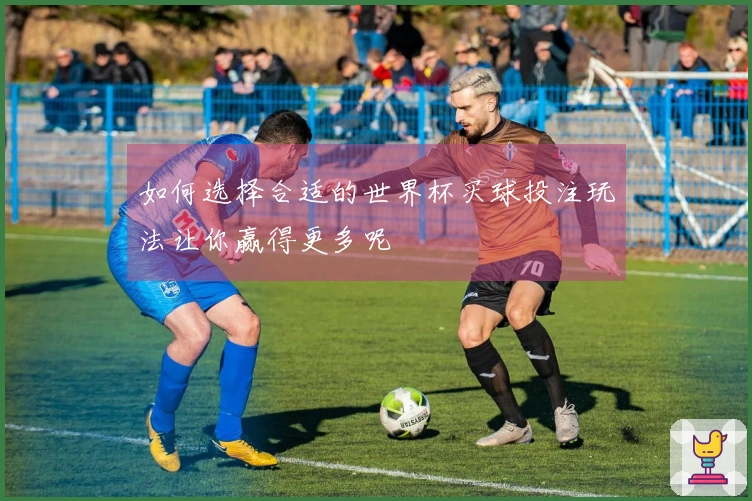 如何选择合适的世界杯买球投注玩法让你赢得更多呢