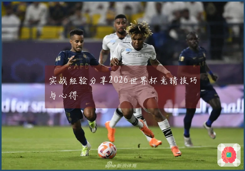 实战经验分享2026世界杯竞猜技巧与心得