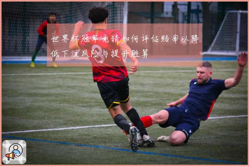 世界杯冠军竞猜如何评估赔率以降低下注风险与提升胜算