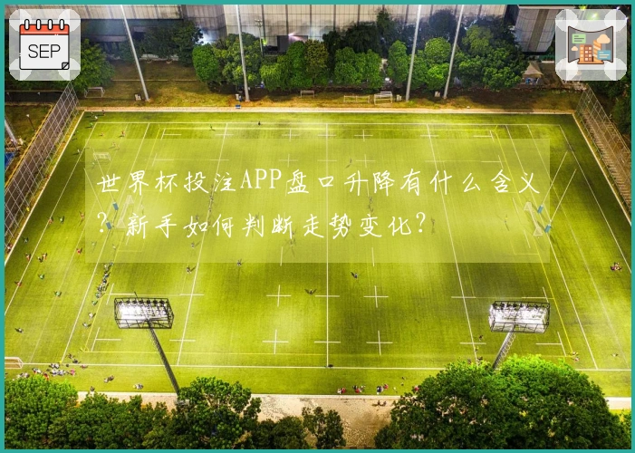 世界杯投注APP盘口升降有什么含义？新手如何判断走势变化？