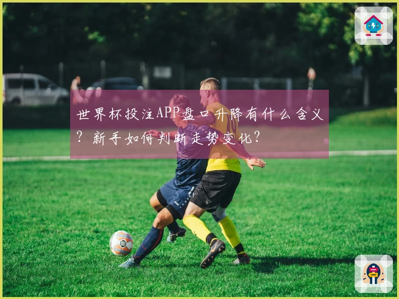 世界杯投注APP盘口升降有什么含义？新手如何判断走势变化？
