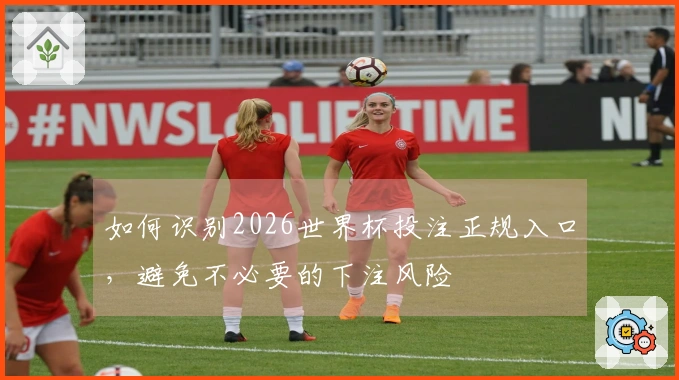 如何识别2026世界杯投注正规入口，避免不必要的下注风险